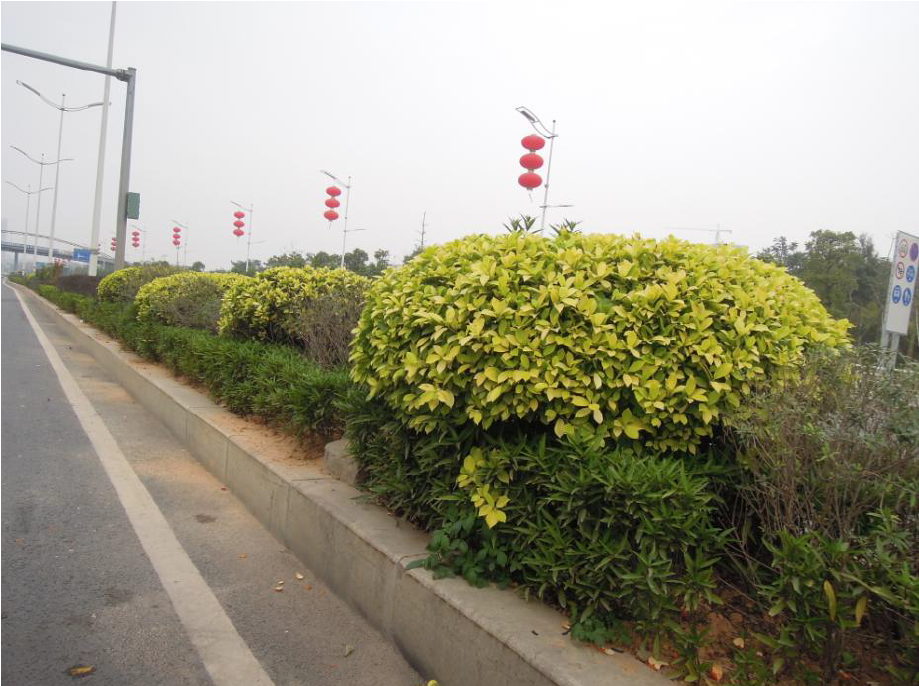 南光高速公路塘明出口綠化景觀提升工程.png